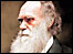 Charles Darwin (Natural History Museum)