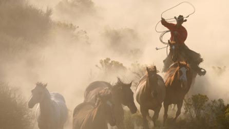 Image from www.istockphoto.com