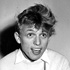 Tommy Steele