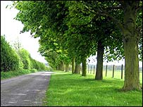 Stage Two: Spinney Farm Drive - Photo by Chris Baxter