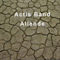 Review of Allende Review of Allende