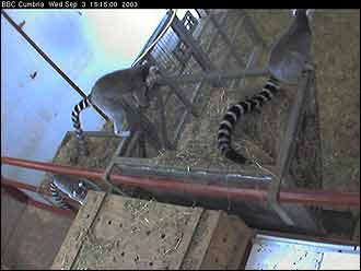 Screen grab Tuesday 23 Sept 2003