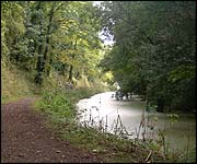The Grand Western Canal