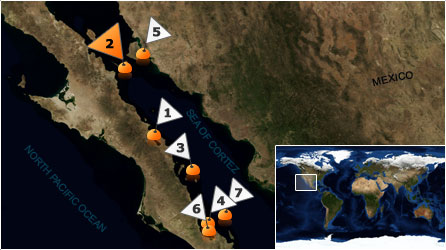 Dive map - Sea of Cortez - Site 2