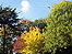 Autumn colours