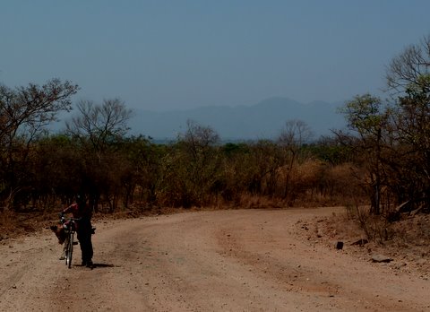 A boy bringing chickens for the pot