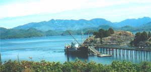 Y llong MV Uckuck 3 wrth y doc yn Nootka Sound