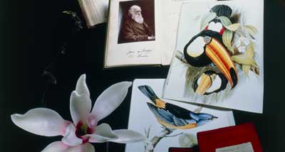 Composite of flower, notebooks and portrait of Darwin