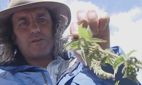 Martin picking herbs