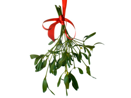 Sprigs of mistletoe hung with a red ribbon