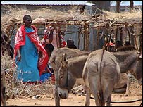 Donkeys in Kenya