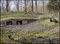 Huskar Pit disaster memorial, Nabs Wood