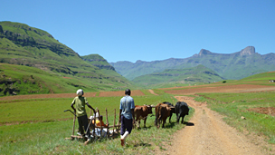 Walking along a mountain track in the Draksenberg mountains