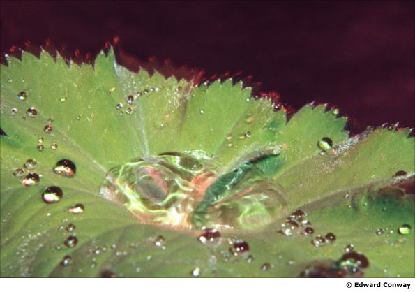 Photo by Edward Conway