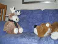 Tigger and Clive on the sofa