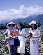 Witnessing in a field in front of mountainous landscape
