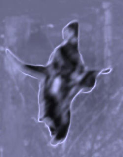 A fleeting apparition