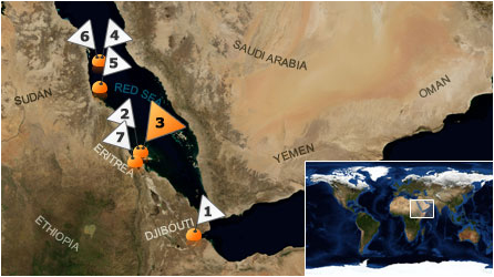 Dive map - Red Sea - Site 3