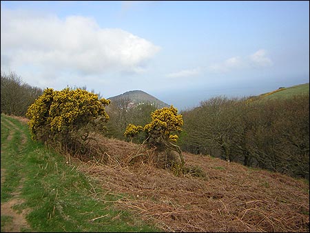 The view towards the headland at Lynmouth