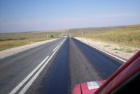 gwasdadoedd canol Asia