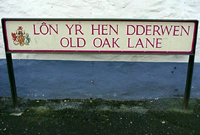 Lôn y Dderwen