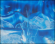 One of Barry's pictures