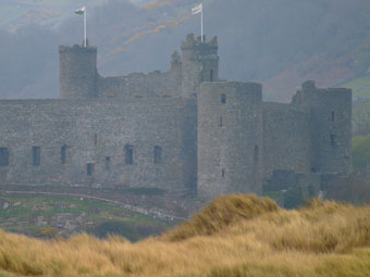 Castell Harlech o'r môr
