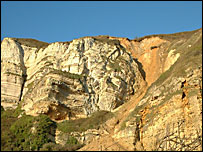 Cliffs at Branscombe