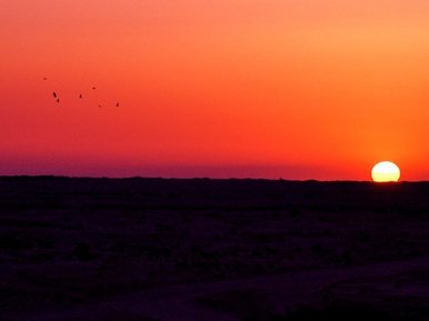 'Sunset in the Sahara'
