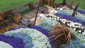 Potteries To Patagonia 