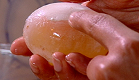 An egg after it has been in vinegar for nearly three days. The shell is almost all dissolved.