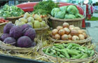 Show news (Image: Market Garden vegetables)