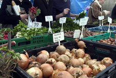 Onions