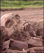 Skeleton discovered in Poulton