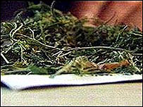 Maconha