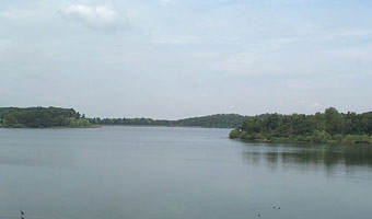 Swithland Resevoir seen from the train