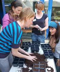 Islington Master Gardeners