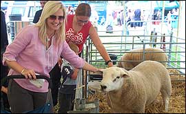 The Kings Troop Royal Horse Artillery