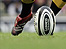 Rugby Union