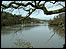 The River Dart, viewed from Greenway.
