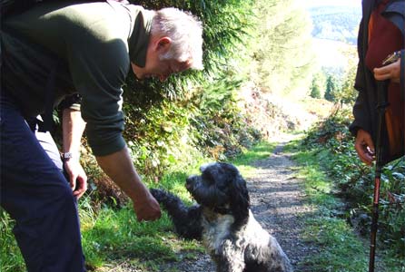 Derek shakes hands with a dog in the Rhondda