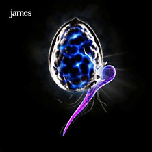 Review of The Night Before