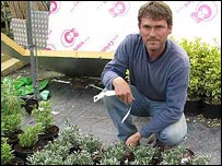 Mark Walker assessing his plants
