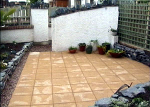 transformed garden