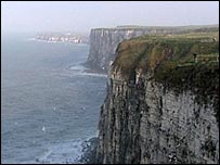 The coast offers a rich diversity of wildlife habitats