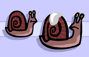 Snail shells