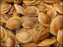 خسته 