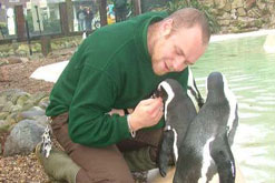 penguin-keeper2.jpg