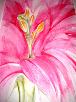 Flower - Art coursework. Year 10