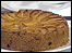 Dorset Apple Cake